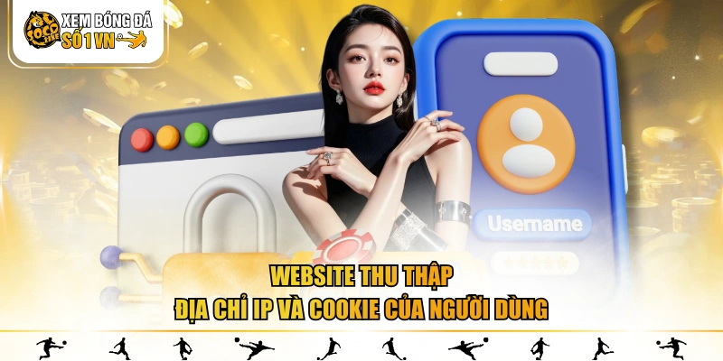 Website thu thập địa chỉ IP và cookie của người dùng